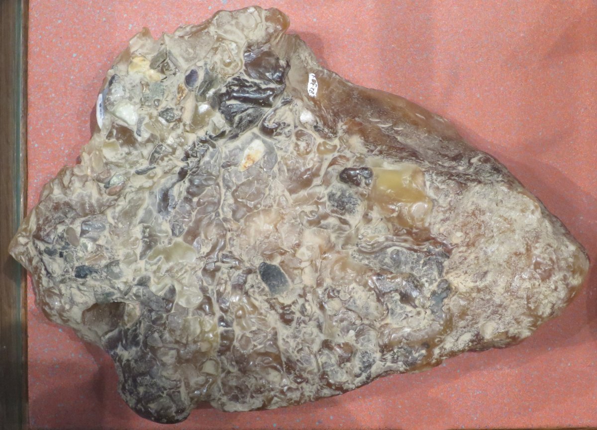 Ambergris Isn't Whale Vomit, and It's Worth More Than Gold