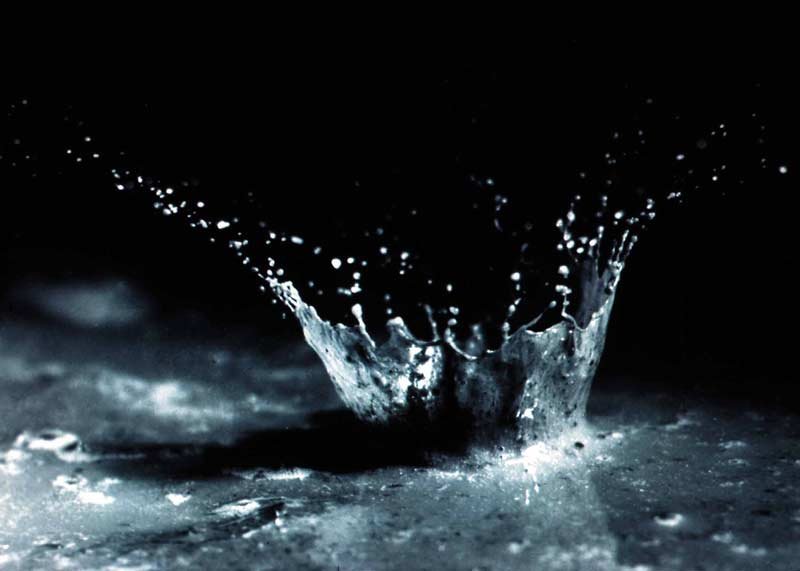 Why Rain Smells So Good: The Science of Petrichor
