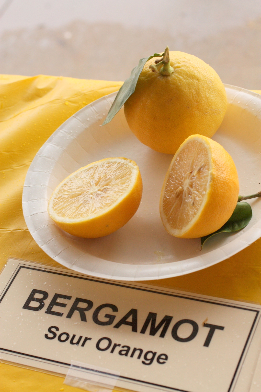 Citrus