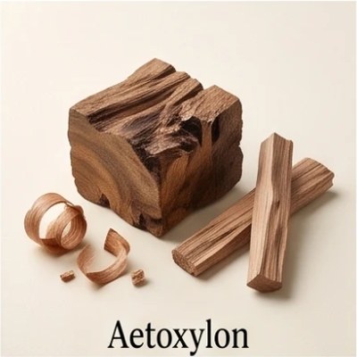 Aetoxylon