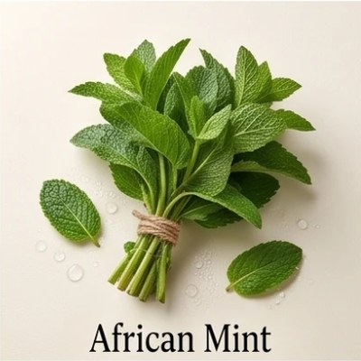 African Mint