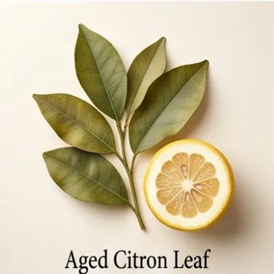 Aged Citron Leaf