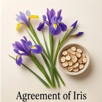 Agreement of Iris