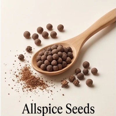 Allspice Seeds