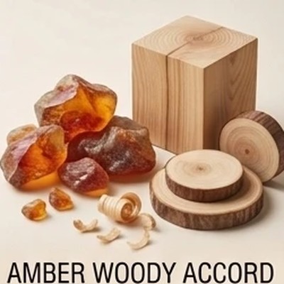 Amber Woody Accord