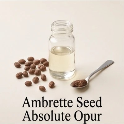 Ambrette Seed Absolute Opur