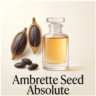 Ambrette Seed Absolute