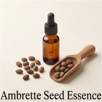 Ambrette Seed Essence