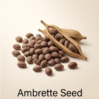 Ambrette Seed