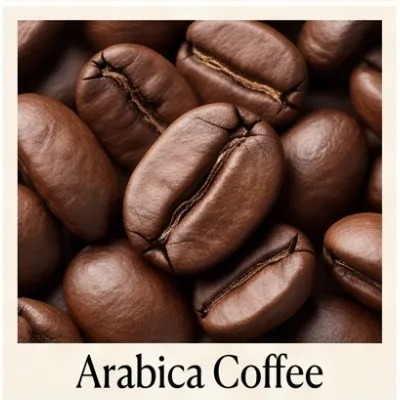 Arabica Coffee