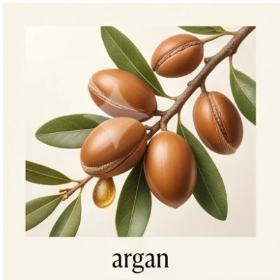 Argan