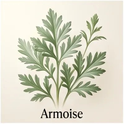 Armoise