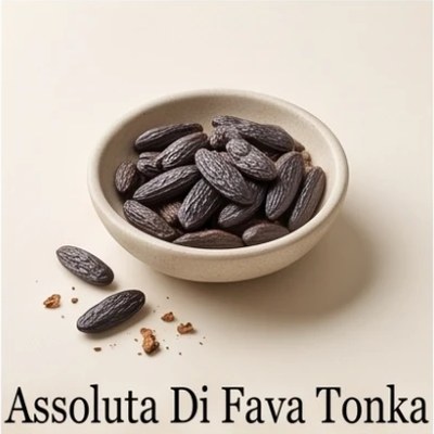 Assoluta Di Fava Tonka
