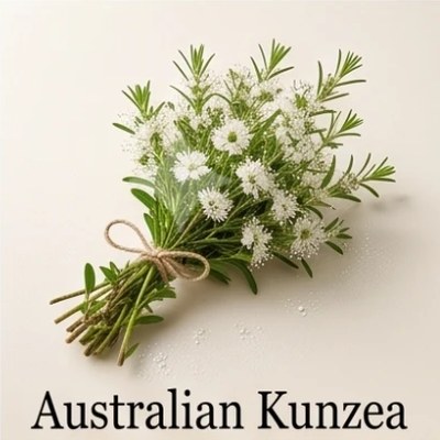 Australian Kunzea