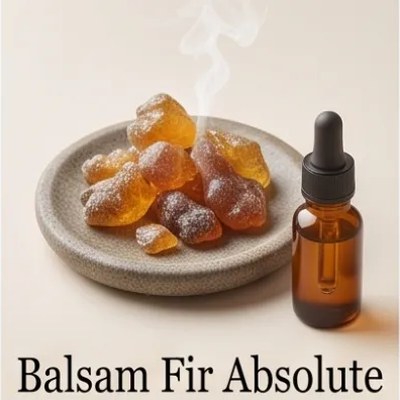 Balsam Fir Absolute