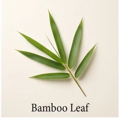 Bamboo Leaf