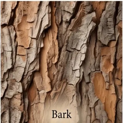 Bark