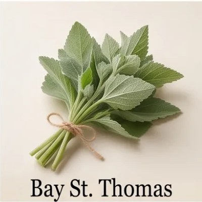 Bay St. Thomas
