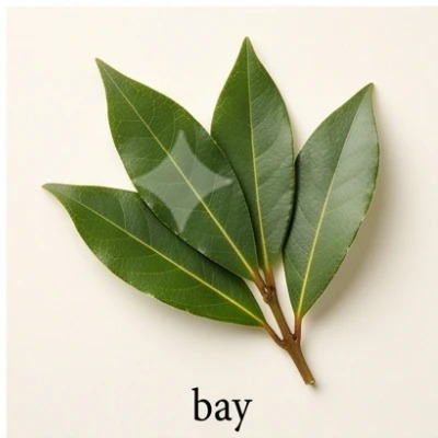 Bay