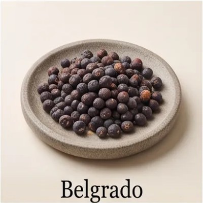 Belgrado