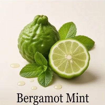 Bergamot Mint