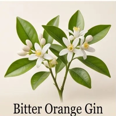 Bitter Orange Gin