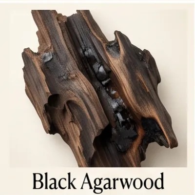 Black Agarwood