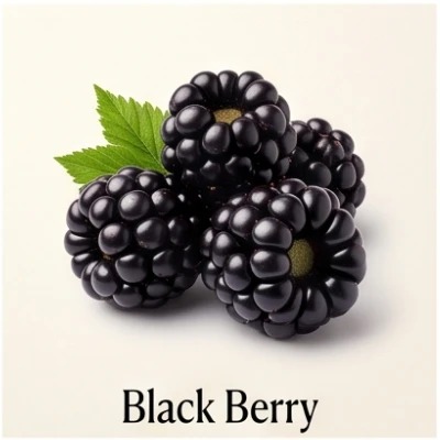 Black Berry