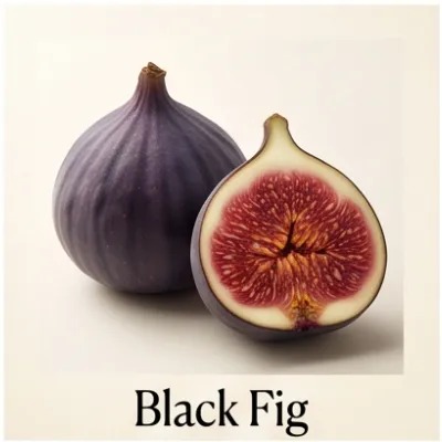 Black Fig