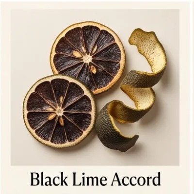 Black Lime Accord