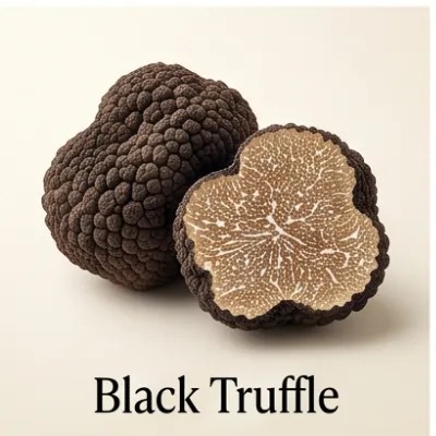 Black Truffle