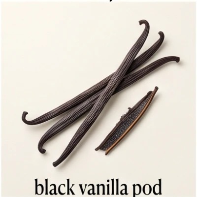 Black Vanilla Pod