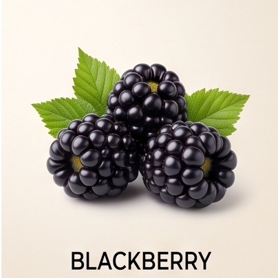 Blackberry