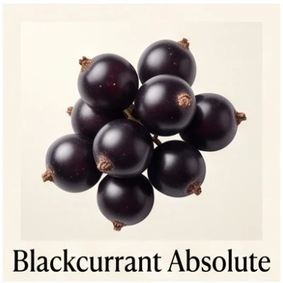 Blackcurrant Absolute