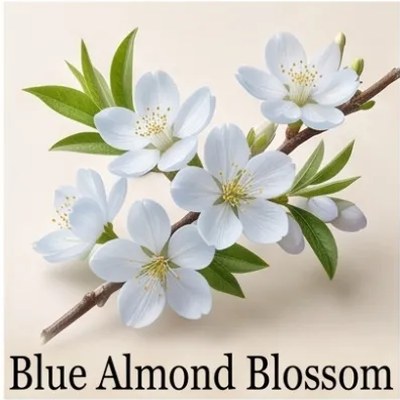 Blue Almond Blossom