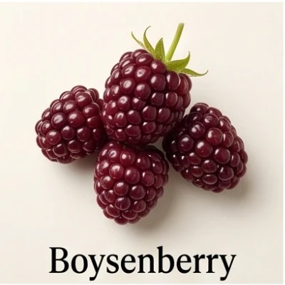 Boysenberry