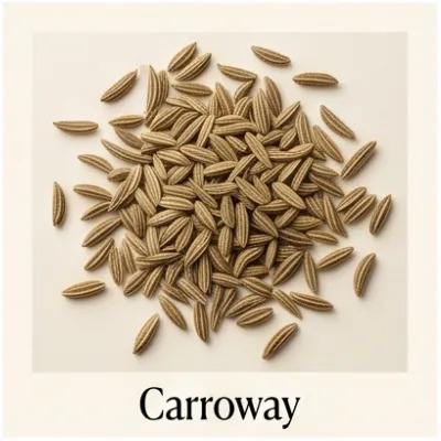 Carroway