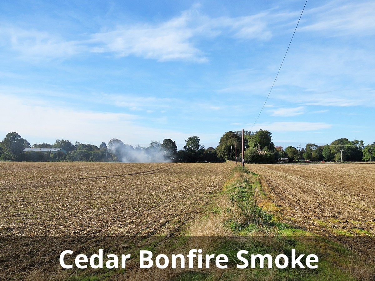 Cedar Bonfire Smoke