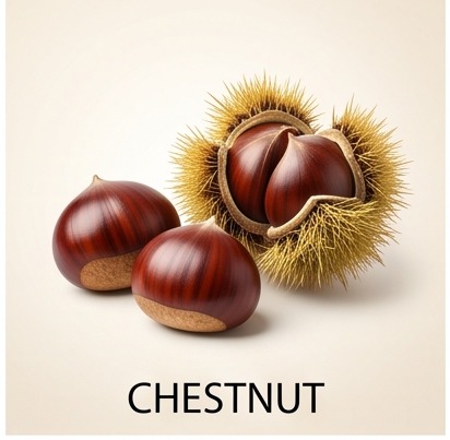 Chestnut