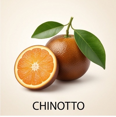 Chinotto