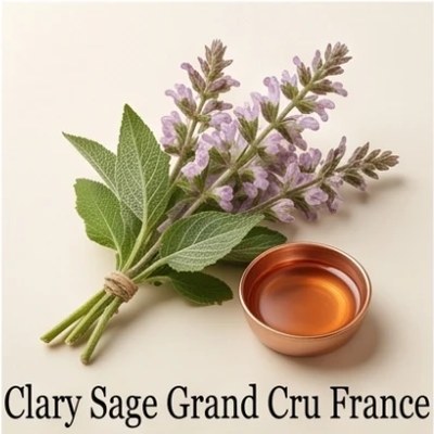 Clary Sage Grand Cru France
