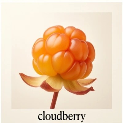 cloudberry