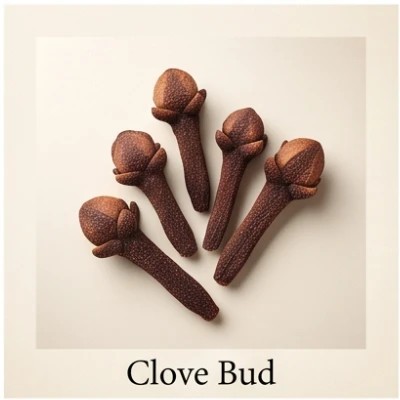 Clove Bud