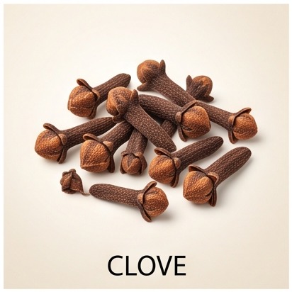 Clove