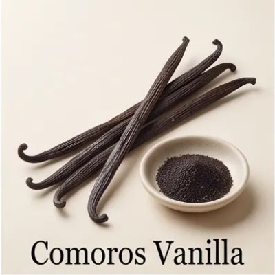 Comoros Vanilla