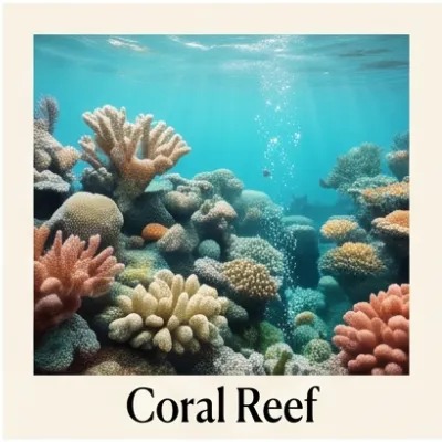 Coral Reef
