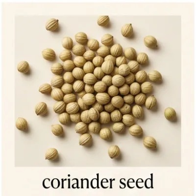 Coriander Seed