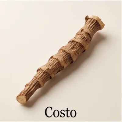 Costo