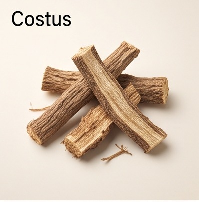 Costus