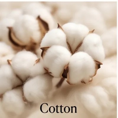 Cotton